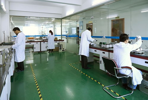 本地服務全國連，黑河五大連池檢測到位更省心——“機構篩選避坑實訓專題之服務距離紅利工具包校準說明書×版情報分析現場解讀